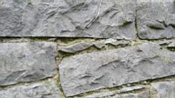 acastle 105625.jpg